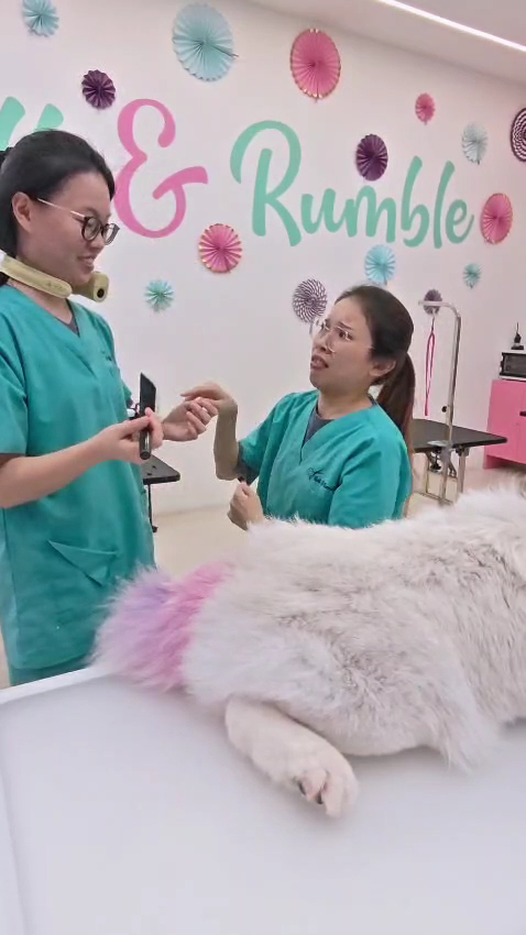 Ruff & Rumble PJ (Megah Rise Mall) 4